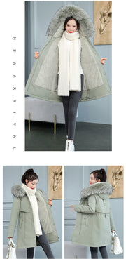 ❄️ WINTERJACKEN FÜR DAMEN – Wärme, Stil und Komfort – immer 👇