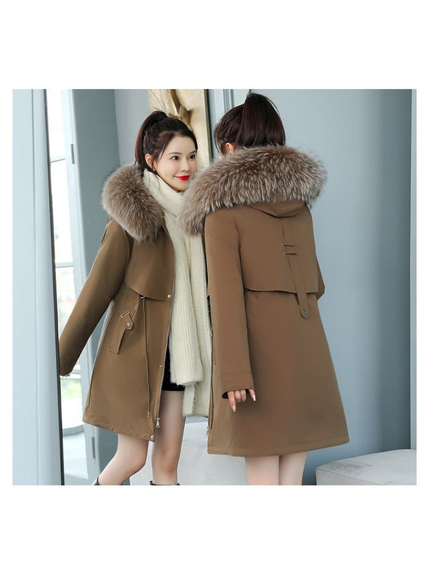 ❄️ WINTERJACKEN FÜR DAMEN – Wärme, Stil und Komfort – immer 👇