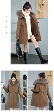 ❄️ WINTERJACKEN FÜR DAMEN – Wärme, Stil und Komfort – immer 👇