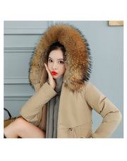 ❄️ WINTERJACKEN FÜR DAMEN – Wärme, Stil und Komfort – immer 👇