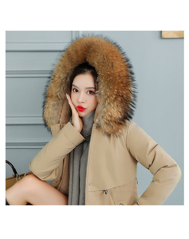 ❄️ WINTERJACKEN FÜR DAMEN – Wärme, Stil und Komfort – immer 👇