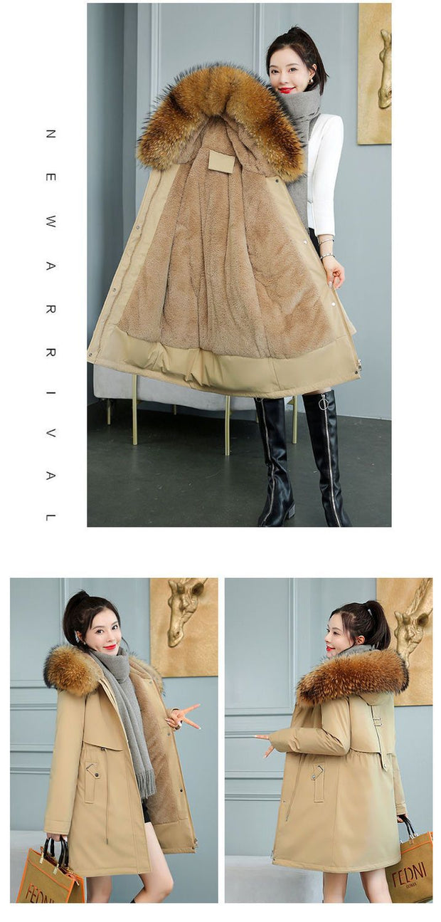 ❄️ WINTERJACKEN FÜR DAMEN – Wärme, Stil und Komfort – immer 👇