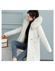 ❄️ WINTERJACKEN FÜR DAMEN – Wärme, Stil und Komfort – immer 👇