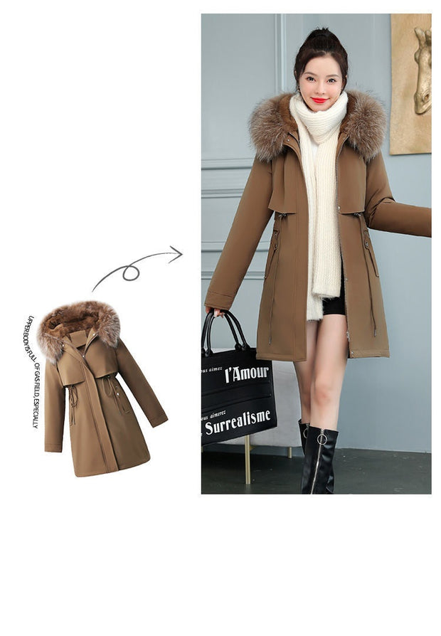 ❄️ WINTERJACKEN FÜR DAMEN – Wärme, Stil und Komfort – immer 👇